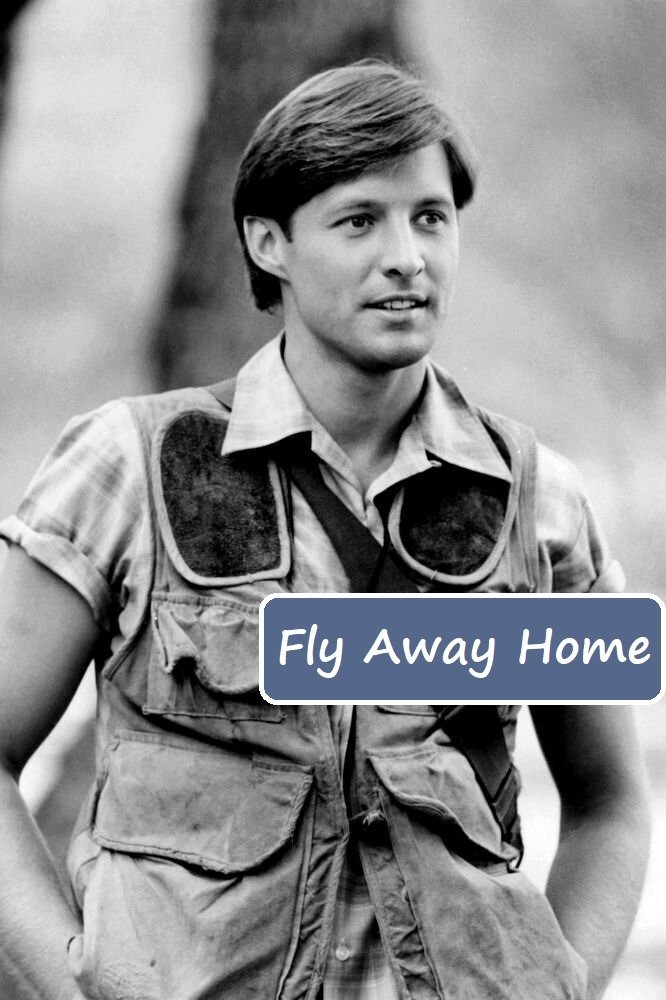 Постер Fly Away Home
